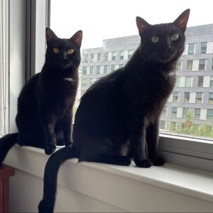 Meet your Posher, Yifan